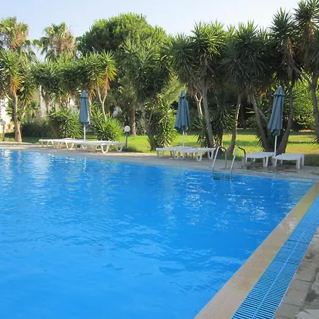 Seagull * Ájosz Fokász