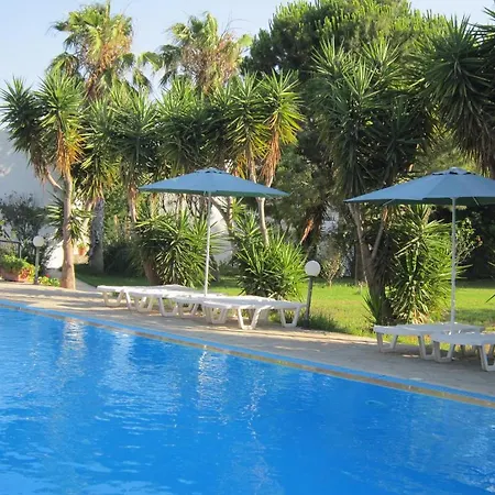 Seagull * אגיוס פוקאס