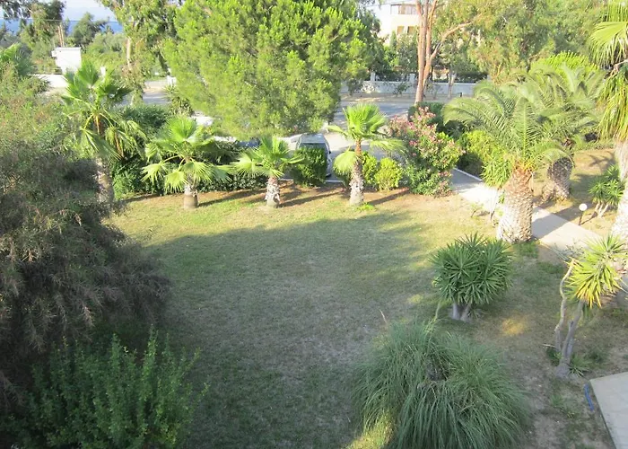 Seagull * Ágios Fokás