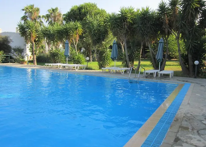 Seagull * Ágios Fokás